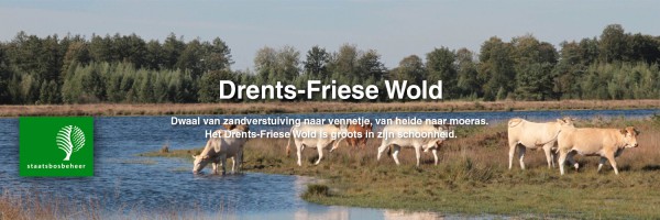 Buitencentra Drents-Friese Wold in omgeving Friesland