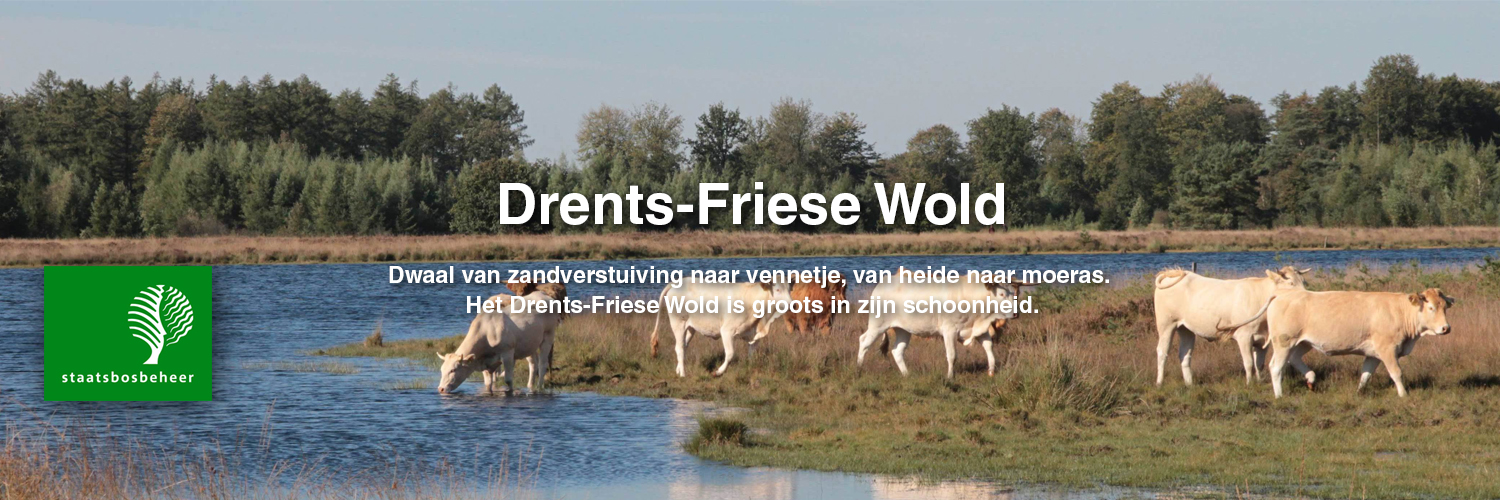 Buitencentra Drents-Friese Wold in omgeving Appelscha, Friesland