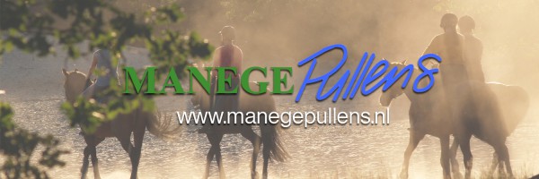 Manege Pullens in omgeving Noord Brabant