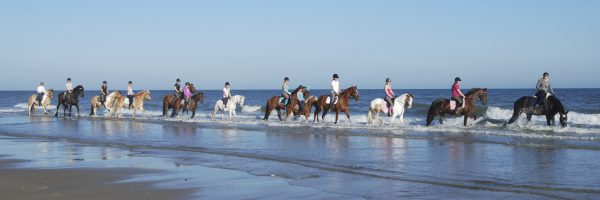 Ponyhof Aagtekerke in omgeving Zeeland