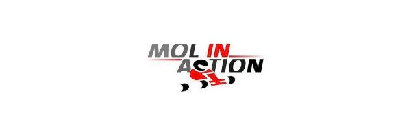 Mol in Action in omgeving Mol