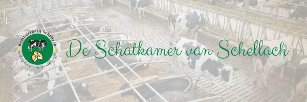 Kaasboerderij Schellach in omgeving Zeeland