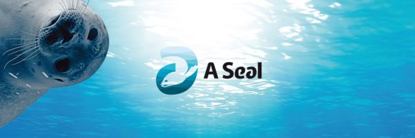 A Seal in omgeving Hellevoetsluis