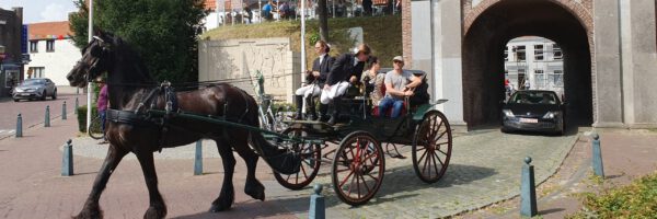 Stal Caritas in omgeving Zeeland