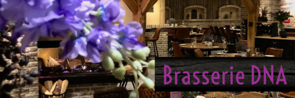 Brasserie DNA in omgeving Hoeven