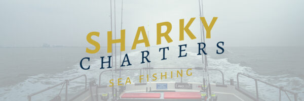 Sharky Charters in omgeving Renesse