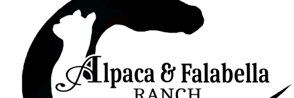 Alpaca & Falabella Ranch Rzadkiewa