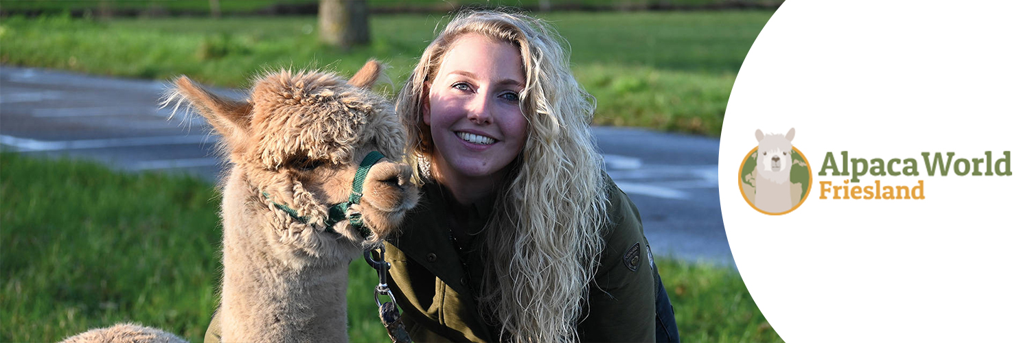 Alpaca World Friesland in omgeving Workum, Friesland