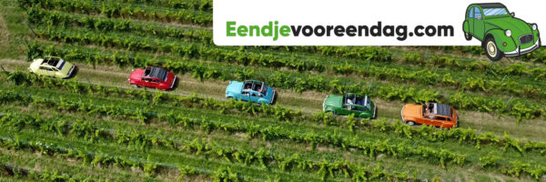 Eendje voor een dag